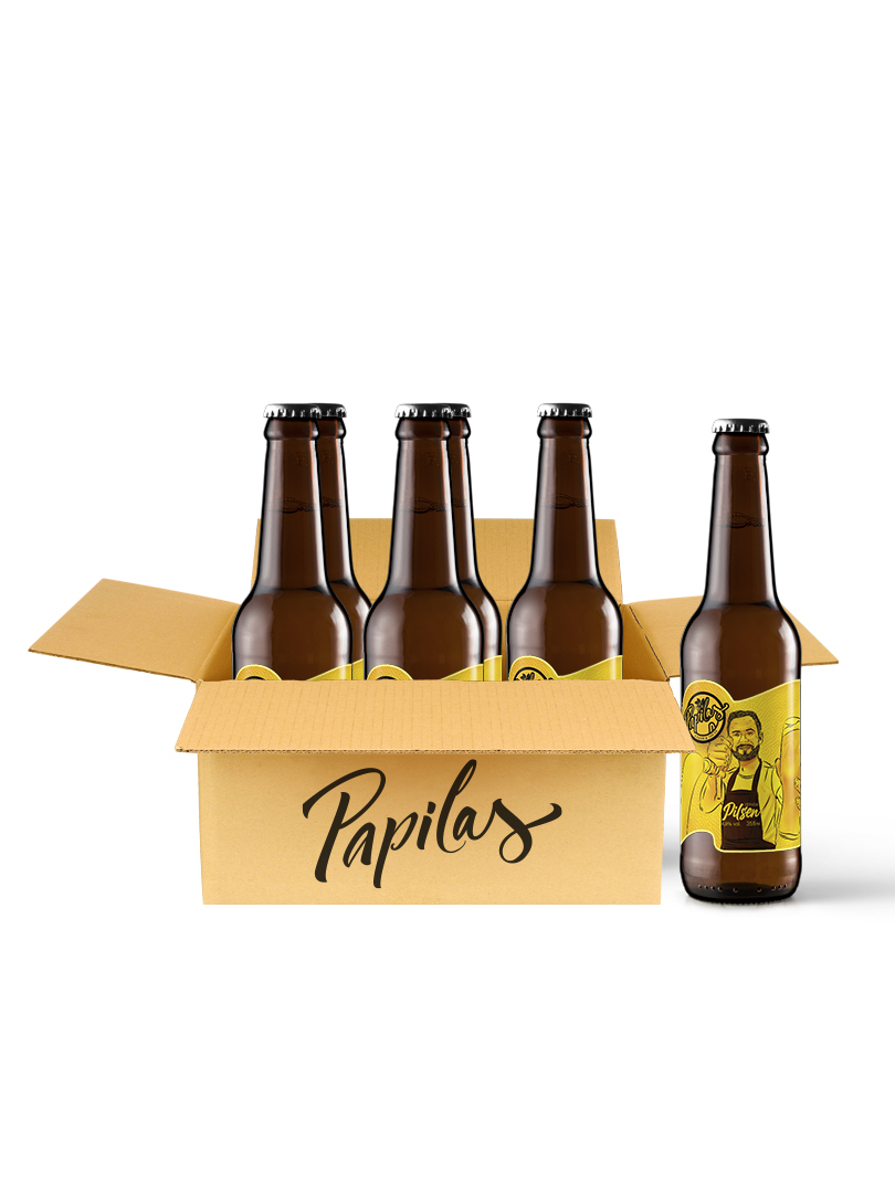 Pack 6 Long Necks – Pilsen - Cerveja Papilas